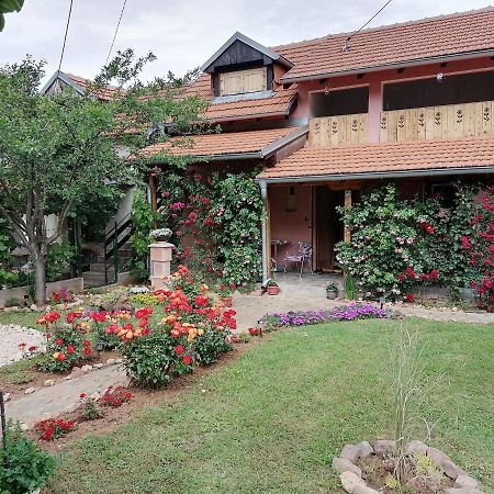 Apartman Mika Соко Баня Екстериор снимка